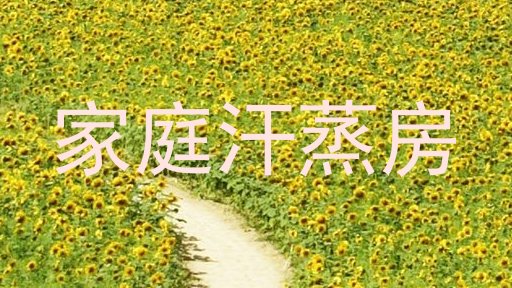 家庭汗蒸房