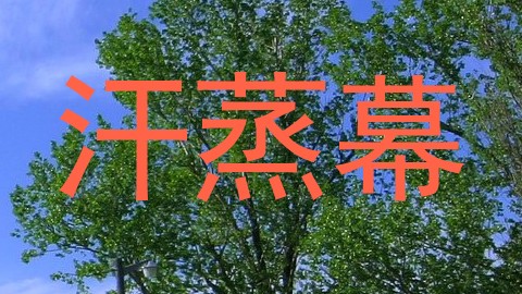 汗蒸幕
