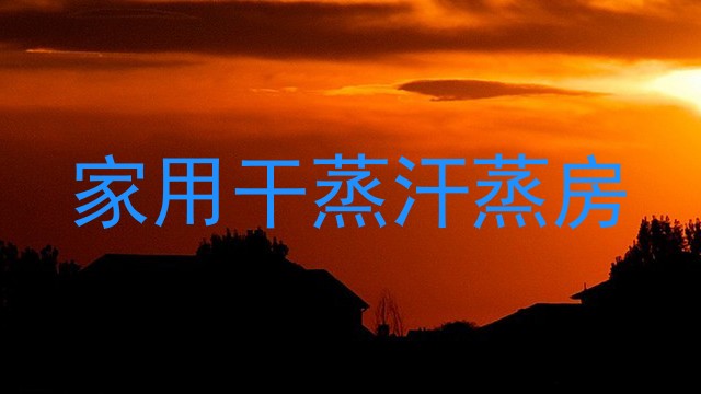 家用干蒸汗蒸房
