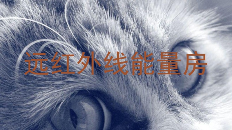 远红外线能量房