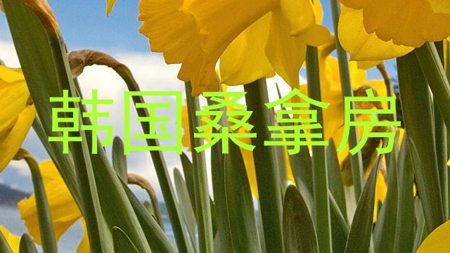 韩国桑拿房