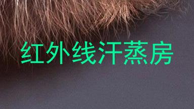 红外线汗蒸房