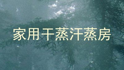 家用干蒸汗蒸房