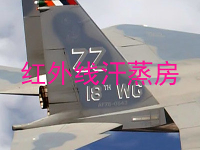 红外线汗蒸房