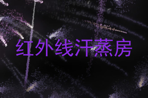 红外线汗蒸房