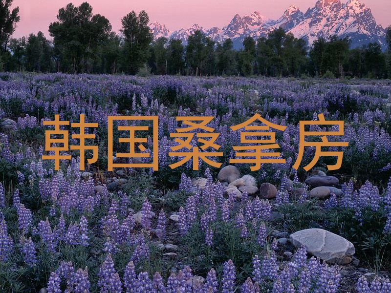 韩国桑拿房