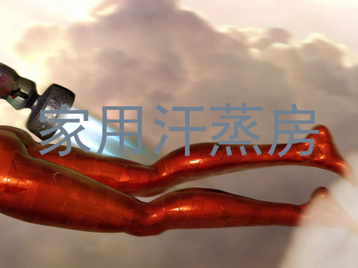 家用汗蒸房