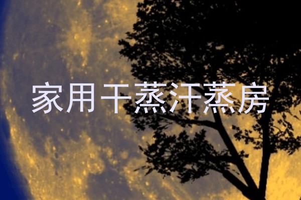 家用干蒸汗蒸房