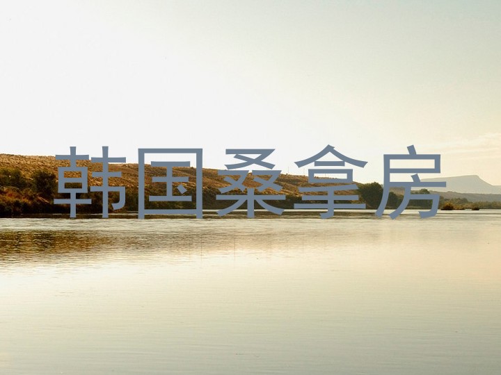 韩国桑拿房