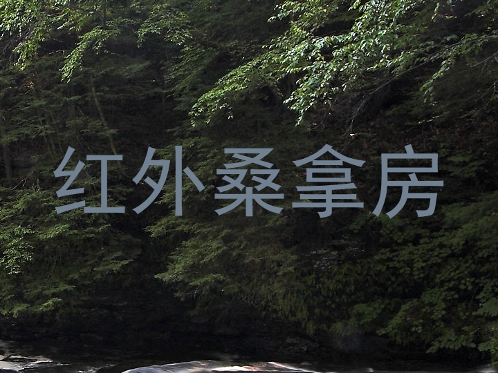 红外桑拿房