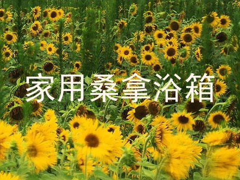 家用桑拿浴箱