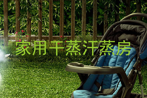 家用干蒸汗蒸房