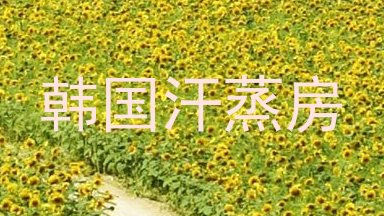 韩国汗蒸房
