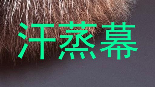 汗蒸幕