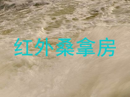红外桑拿房