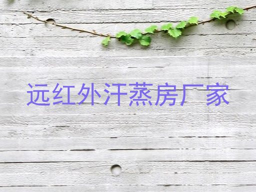 远红外汗蒸房厂家