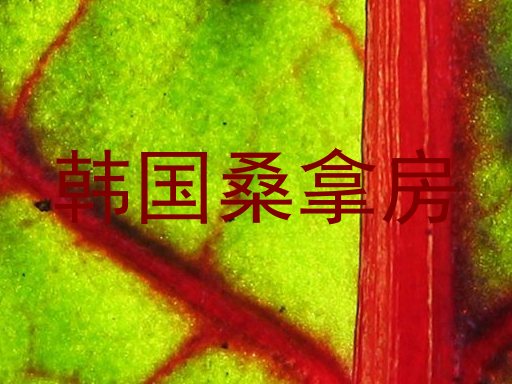 韩国桑拿房