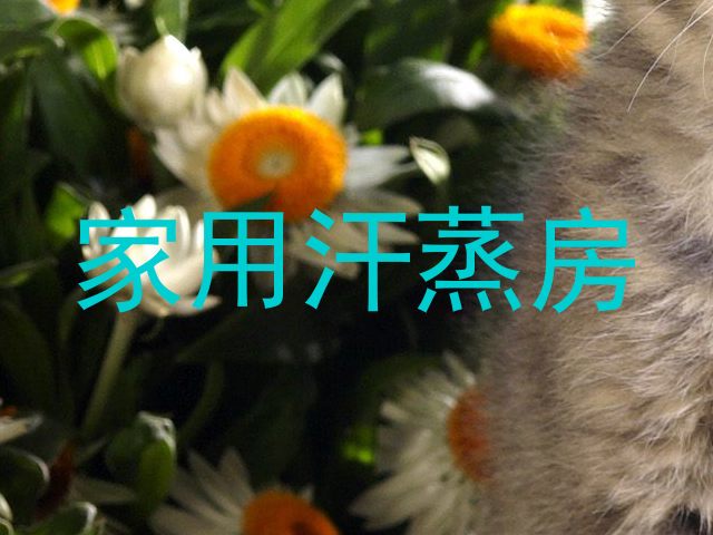 家用汗蒸房