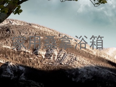 家用桑拿浴箱