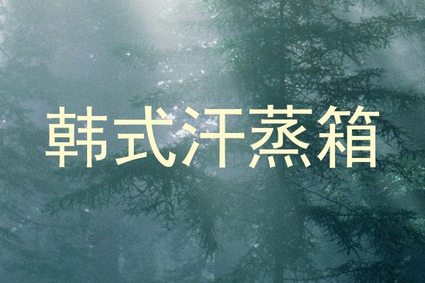 韩式汗蒸箱