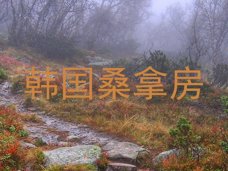 韩国桑拿房