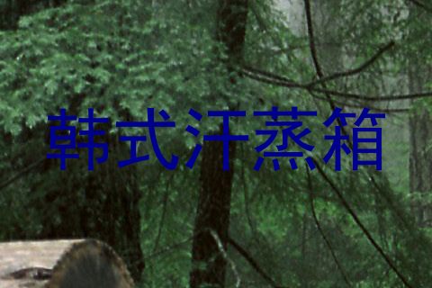 韩式汗蒸箱