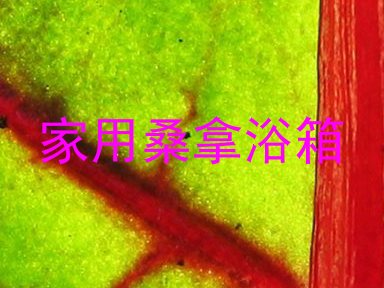 家用桑拿浴箱