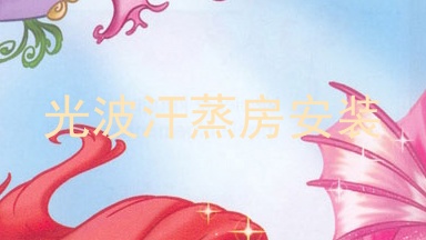 光波汗蒸房安装