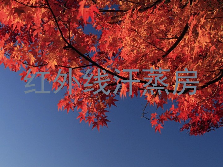红外线汗蒸房