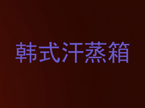 韩式汗蒸箱