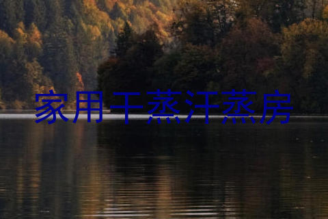 家用干蒸汗蒸房