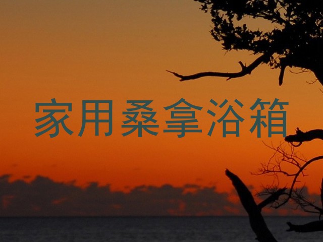 家用桑拿浴箱