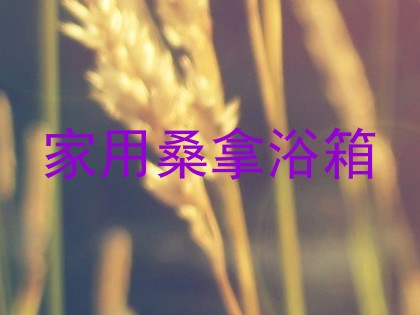 家用桑拿浴箱