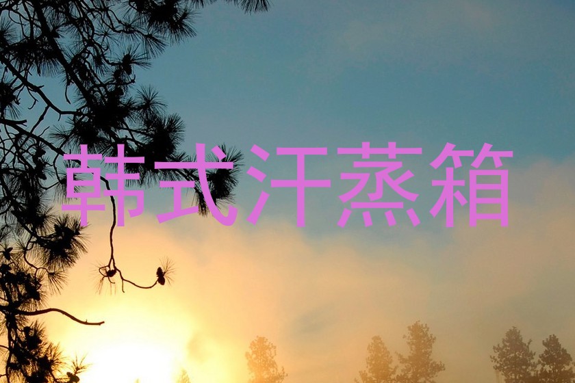 韩式汗蒸箱