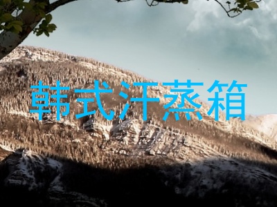 韩式汗蒸箱