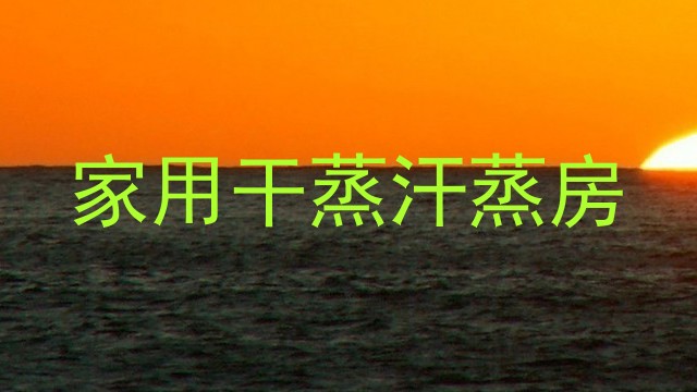 家用干蒸汗蒸房