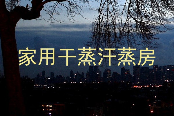 家用干蒸汗蒸房