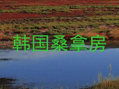 韩国桑拿房