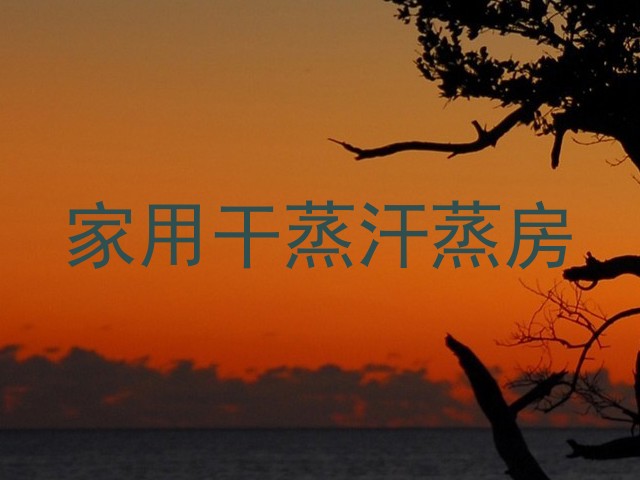 家用干蒸汗蒸房