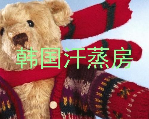 韩国汗蒸房