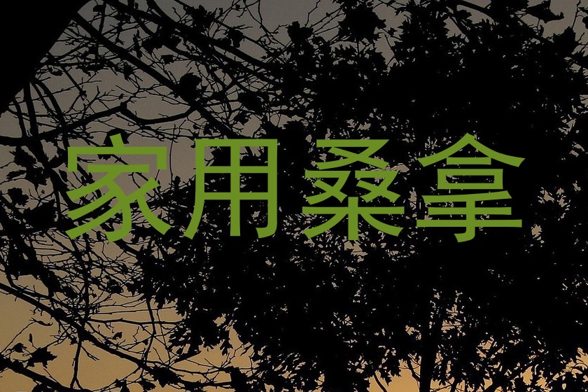 家用桑拿