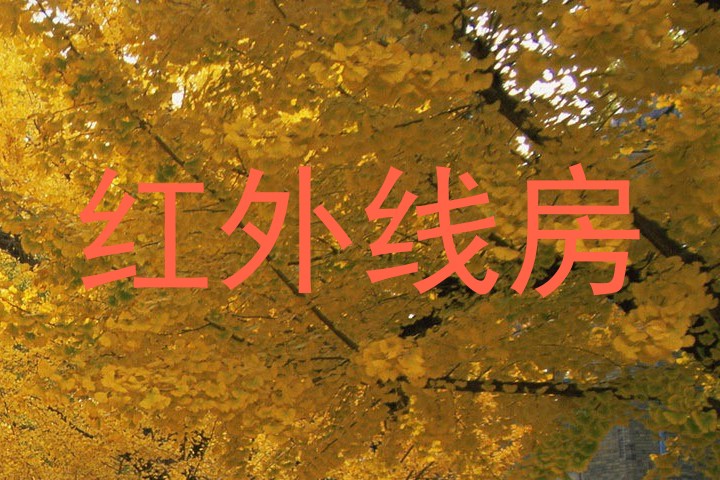 红外线房