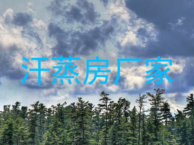 汗蒸房厂家