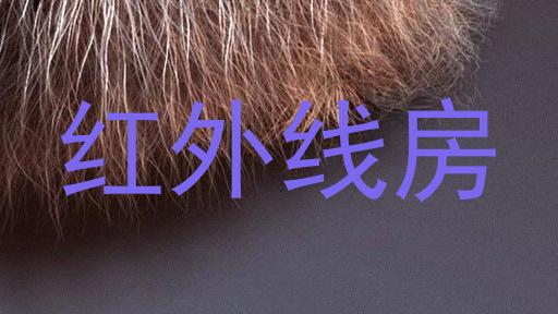 红外线房
