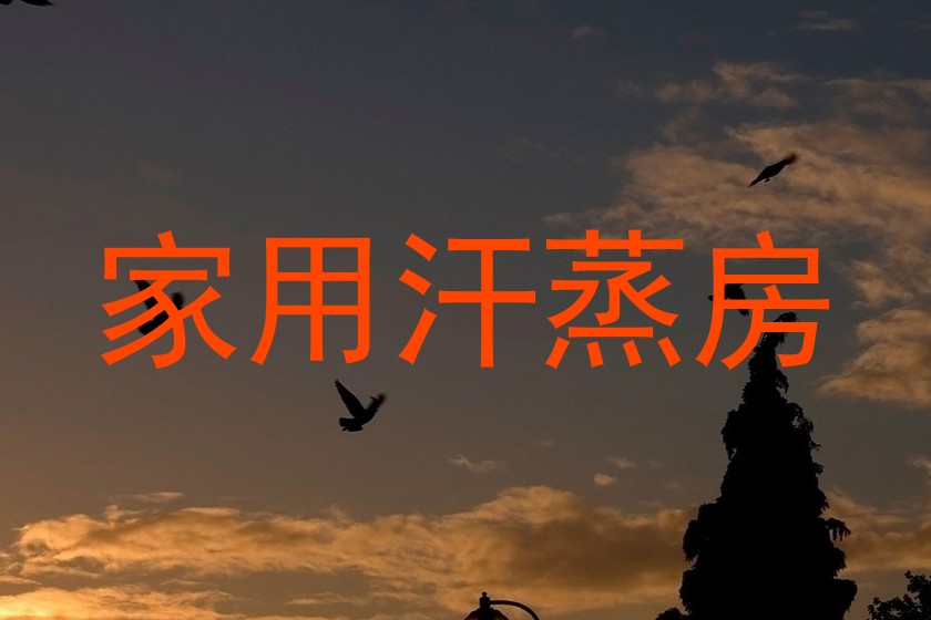 家用汗蒸房