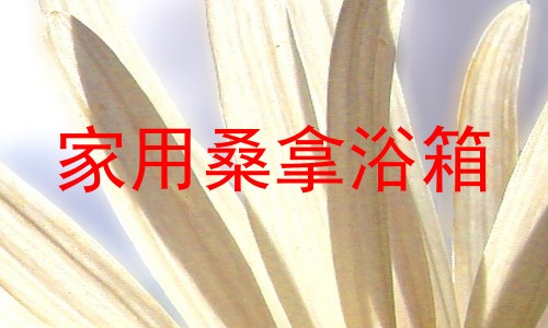 家用桑拿浴箱