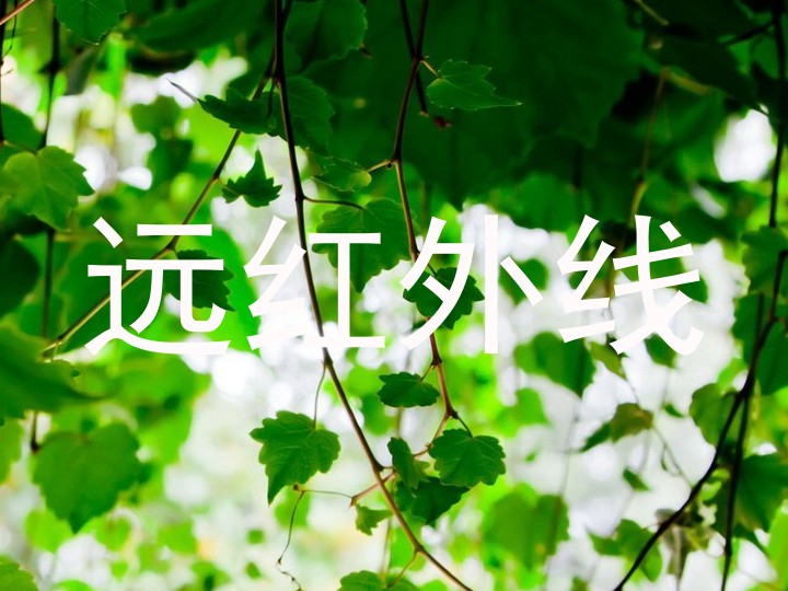 远红外线