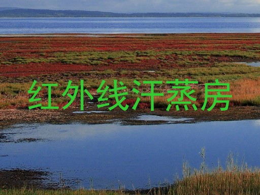 红外线汗蒸房