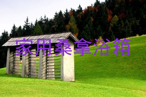 家用桑拿浴箱