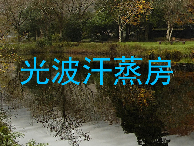 光波汗蒸房